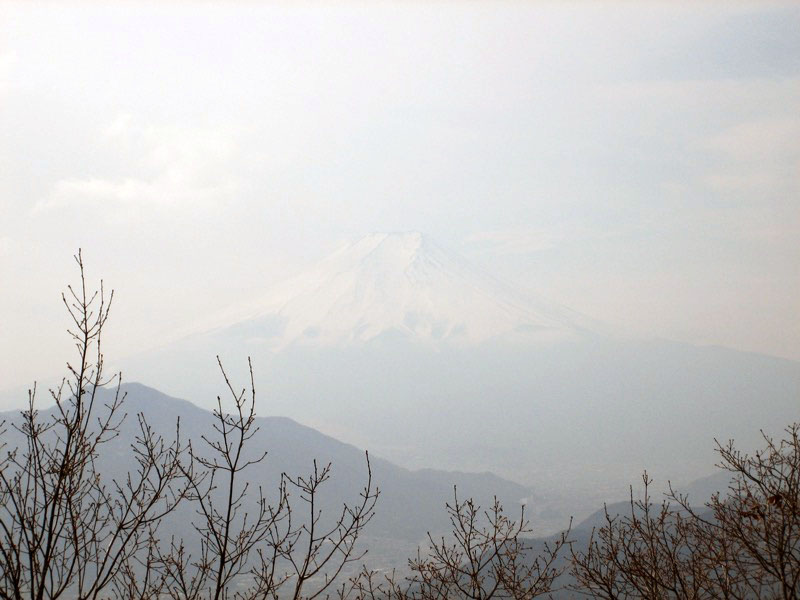 高川山
